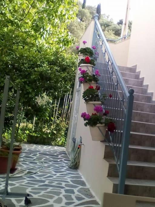 Appartamento Elen'S House Sívota Esterno foto